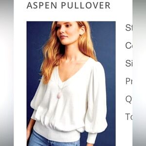 New, Unworn - Plenty by Tracy Reese Aspen Pullover from Anthropologie